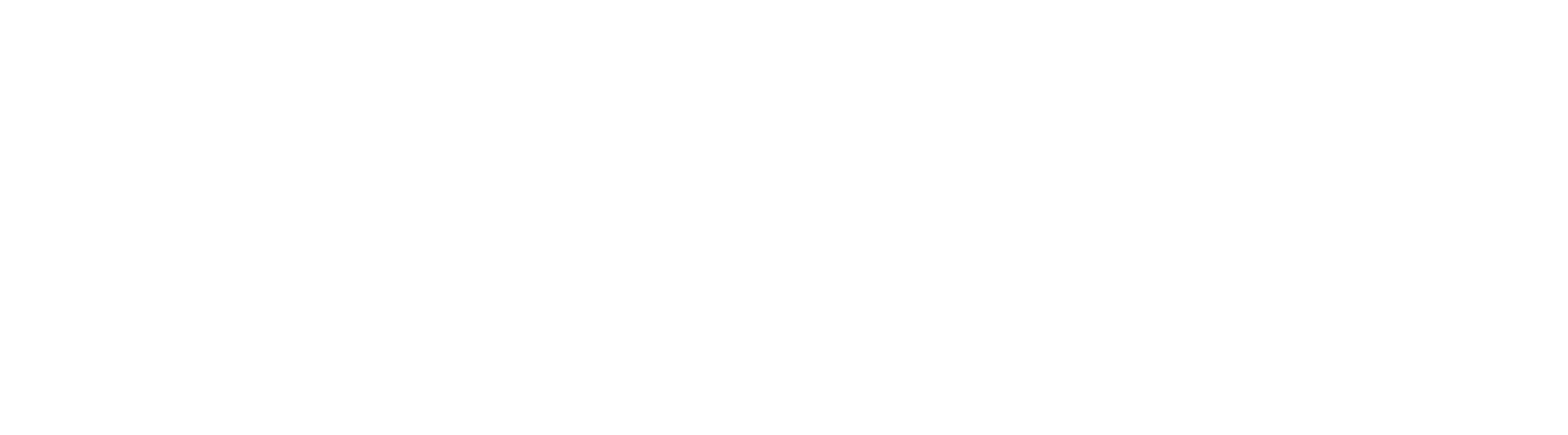 Stimme Mediengruppe